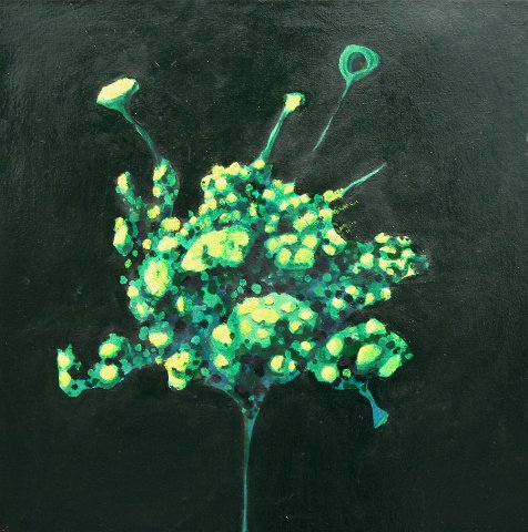 2006      NocniKvet_70x70